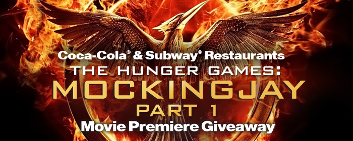 Hunger Games banner_700X280